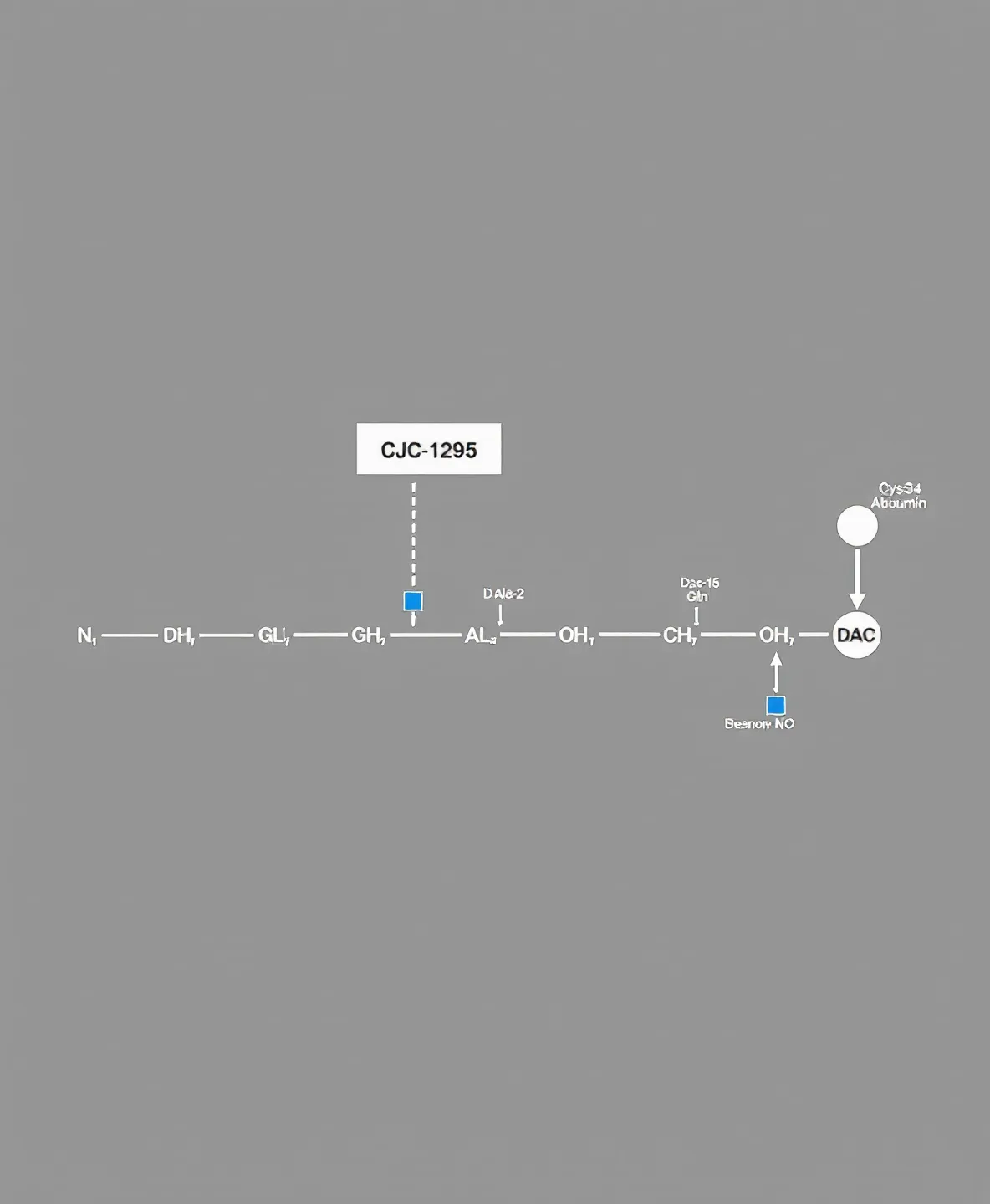 Engineering-spec line diagram of the CJC-1295 DAC peptide chain connected to a serum albumin sphere, with four BMW Blue substitution markers